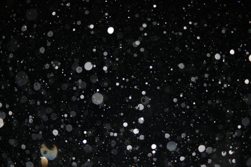 Is Google Silencing the Right?