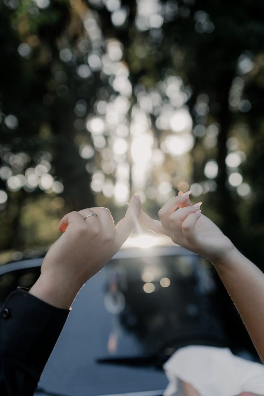 Why You Should Stop Trusting CNN